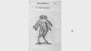 История МОНСТРОВ.  Книга Шедевр 1642 года.