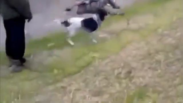 самое смешное видео про оружие смотреть онлайн
