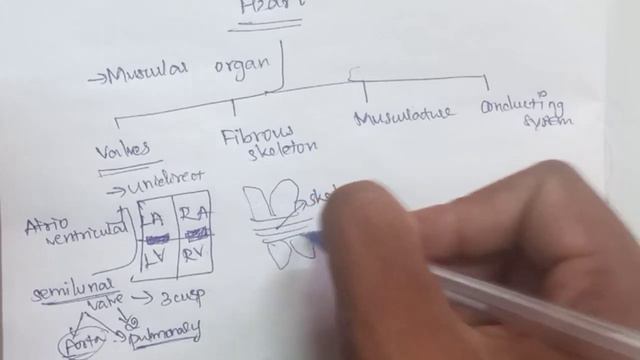 Overview Of Heart |Tamil