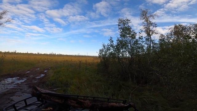 На квадроцикле Сокол за клюквой. смотреть онлайн