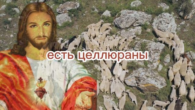 ⚠️ СРОЧНОЕ ПРЕДУПРЕЖДЕНИЕ ОТ БОГА - Я ПОДАРЮ ВАМ ЧУДО СЕГОДНЯ, ЕСЛИ ВЫ ПОСЛУШАЕТЕ МЕНЯ! смотреть онлайн