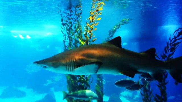 LISBON 4K | The City Of Seven Hills | Portugal | Cinematic Travel смотреть онлайн