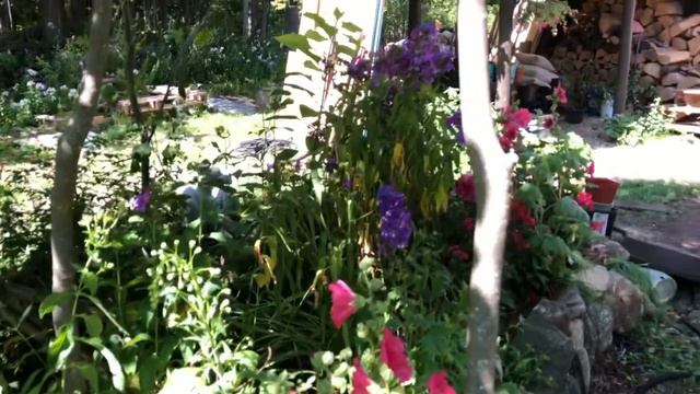 Planting up the Cottage Garden on How to Grow a Garden with Scarlett