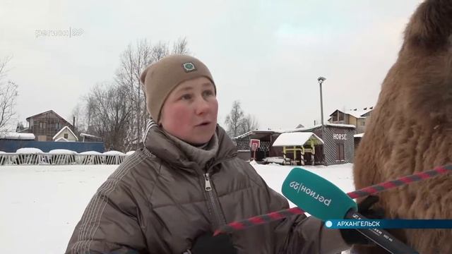 16 12 21 Катание на лошадях могут отменить смотреть онлайн