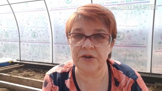 Кто кого ? Шоколад или молокочай ? смотреть онлайн