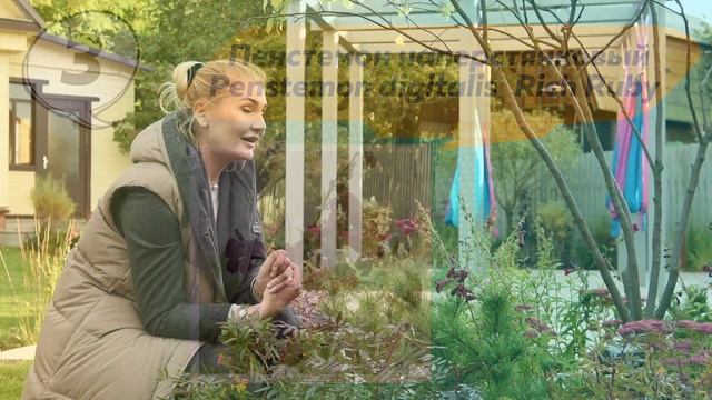 Цветник малого ухода | Как сделать цветник в саду? | Цветник с розами смотреть онлайн