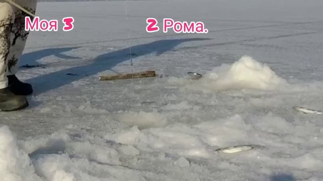 рыбалка в Приморье сейчас. рыбалка на зубаря. рыбалка на зубаря комбайн. смотреть онлайн
