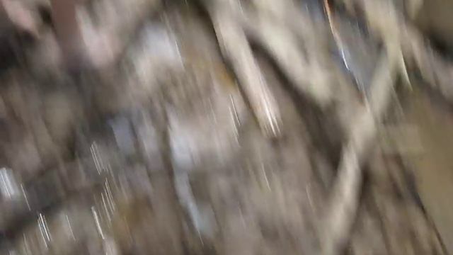 ПРЕОДОЛЕВАЯ ВОДНЫЕ ПРЕГРАДЫ ! смотреть онлайн