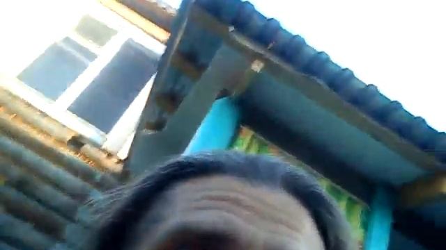 Мухи!!! смотреть онлайн