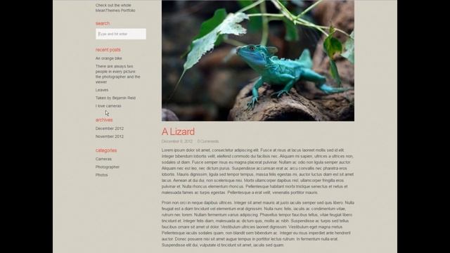 Download free Daily A Beautiful WordPress Blog & Photo theme wih source code смотреть онлайн