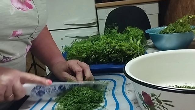 #день#заготовка#укроп#удобряю в теплицах смотреть онлайн