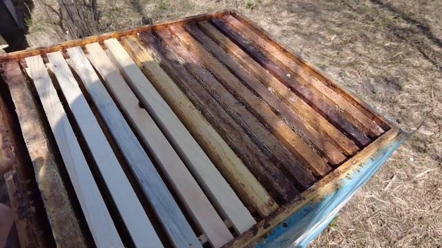 Новости с таёжной пасеки, ставим надставки, первый мёд, укусила пчела в глаз (веко), последствия смотреть онлайн