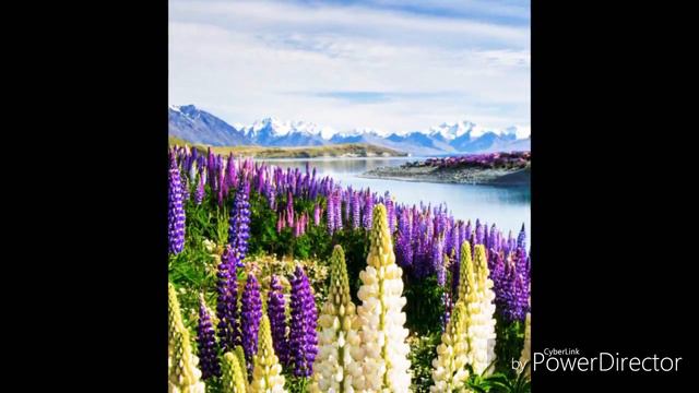 Дует домр -Love me like you do(запись с репетиции) смотреть онлайн