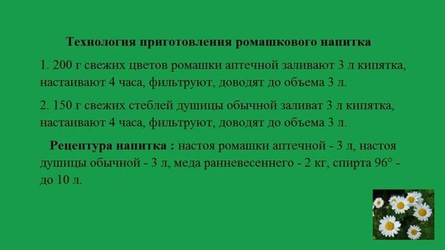 Ромашка. Напиток из ромашки. Chamomile drink смотреть онлайн