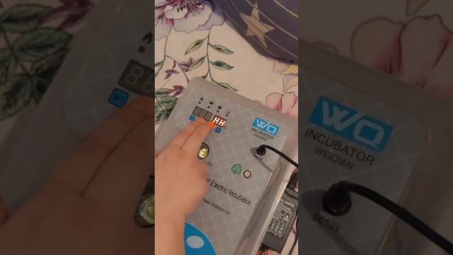 инкубатор WQ 24 сборка, система умный инкубатор FHQ-MN-24/56, wg 24, сборка инкубатора WQ смотреть онлайн
