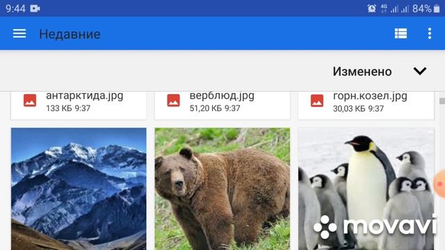 396. Learning Apps/ Задание "Найди пару"/ Природные зоны и животные смотреть онлайн