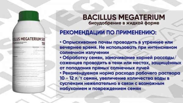 Bacillus megaterium Planteco® Улучшение фосфорно-калийного питания растений.