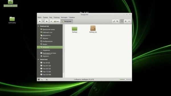 Скачиваем,распаковываем и устанавливаем новую тему в Linux Mint.