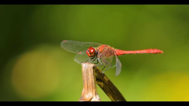 Доброе утро! смотреть онлайн
