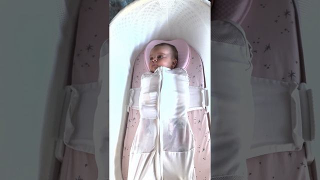 Camping With A Snoo Bassinet | 3-month Old Camper!