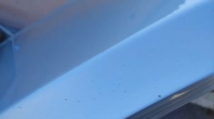 Убираем сколы и ржавчину - Слабые места Шкоды Октавии А5