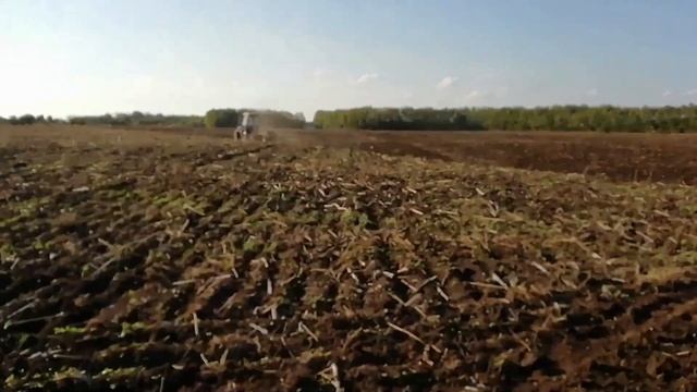 Подготовка почвы под посев озимых. Трактор мтз 82.1 и тяжелая САМОДЕЛЬНАЯ прицепная борона. смотреть онлайн