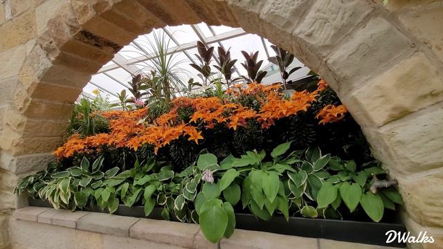 Royal Tasmanian Botanical Gardens | Tasmania | Australia | DWalks | Travel Diary #tasmania смотреть онлайн