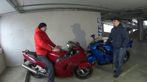 Даем дрозда!!! Обзор Honda CBR1100XX blackbird.