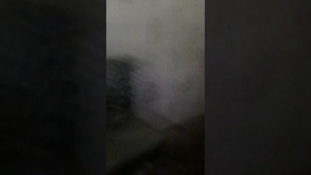 Самый вкусный обед в мире смотреть онлайн