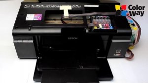 Обнуления чипов на СНПЧ для аппаратов Epson