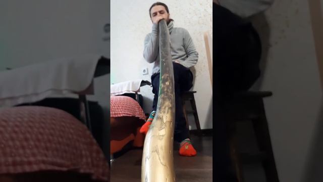 ДИДЖЕРИДУ ДО (ясень) | Пример звука | "Звуки мира" музыкальная мастерская Александры Шериной | Зака смотреть онлайн