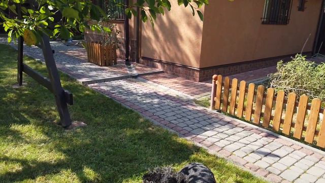 Хочу на дачу смотреть онлайн