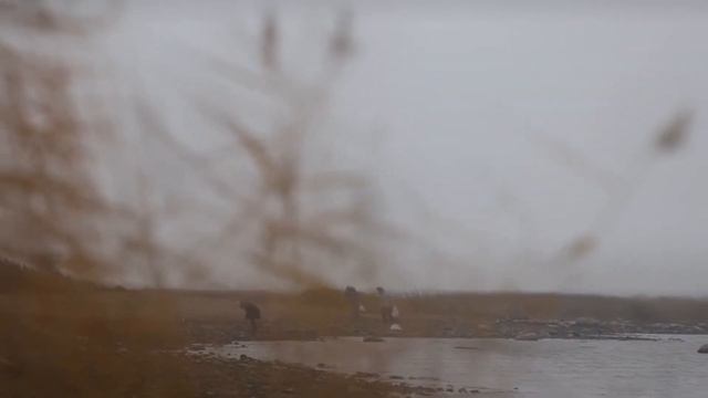 ZERO MARK (short cinema / video) смотреть онлайн