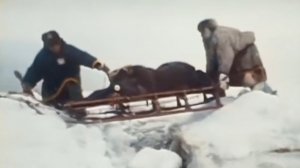 СМОТРИМ "МАЛАХОВА"! 40 ЛЕТ СПУСТЯ: СЕКРЕТНЫЕ МАТЕРИАЛЫ СОВЕТСКОЙ ЭКСПЕДИЦИИ - СЕГОДНЯ В 16:30