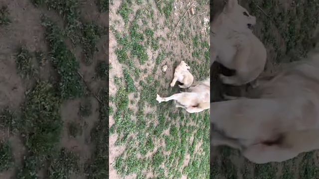 8 апреля 2021 г. смотреть онлайн