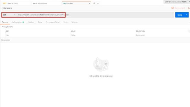 Using REST API's with Oracle Unified Directory смотреть онлайн