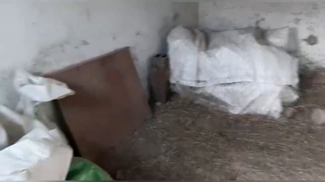 Строим загон для подарка, обзор 2 домов для друзей #дом #переезд #деревня смотреть онлайн