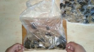 Замораживаем сморчки ?