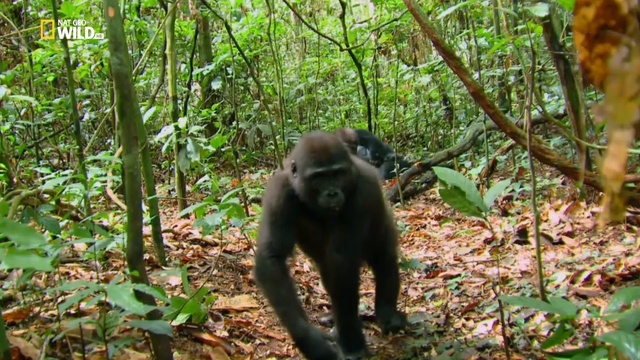 S04E05 смотреть онлайн