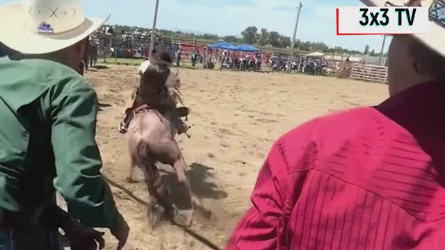 Подборка смешного видео за июль 2024 - Selection Of Funny Videos