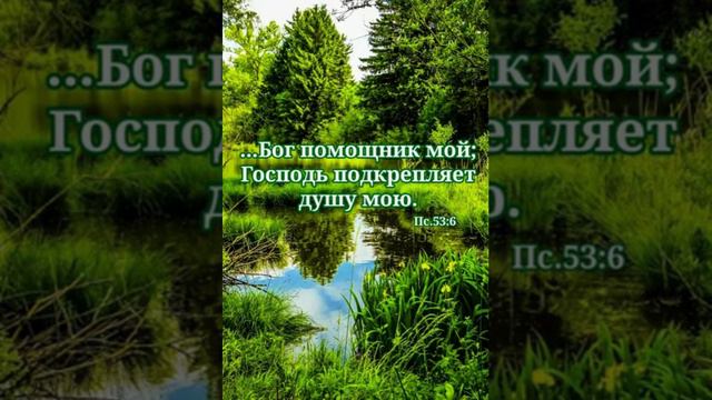 Очень Красивая песня Далеко-далеко Журавли улетели смотреть онлайн
