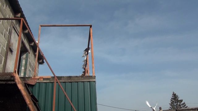 22 октября у Петра Федоровича смотреть онлайн