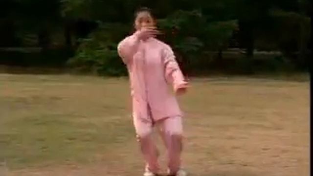 Тайцзицюань 24 формы, с английскими титрами смотреть онлайн