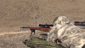 Обзор винтовки Лось-145 308win