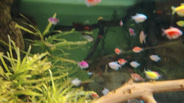 Океанариум в Екатеринбурге, 2023 смотреть онлайн