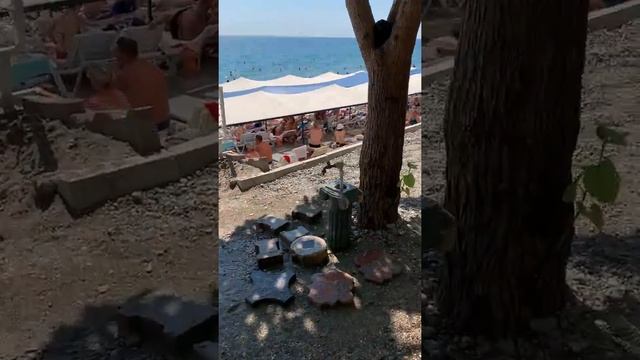 Antalya,Kemer,Beldibi 2021 Armir Palace смотреть онлайн