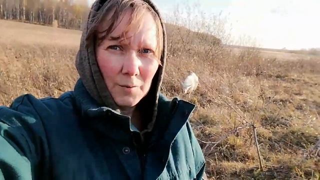 Почему деревни умирают? Деревня это душа нашей страны. смотреть онлайн