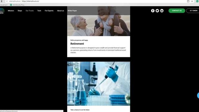 Eternal Trusts (ETT)-принцип и работа платформы смотреть онлайн