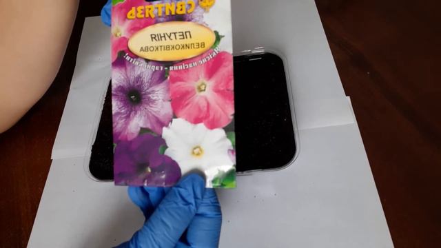 ПЕТУНЬЯ ПОСАДКА СЕМЯН 21.02.21 смотреть онлайн