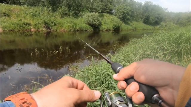Голавль на спиннинг в июне после окончания запрета. смотреть онлайн